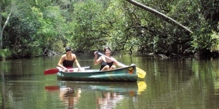 Canoe &amp; Camping Safari Tour - Noosa Everglades - Everything Australia