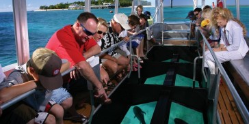 Green Island & Great Barrier Reef Scuba Diving - Great Adventures Cruises