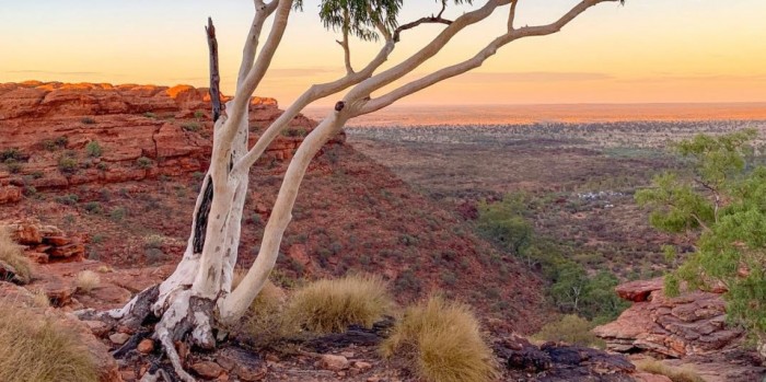 Kings Canyon Day Tour Uluru Everything Australia