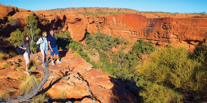 Kings Canyon Day Tour Uluru Everything Australia