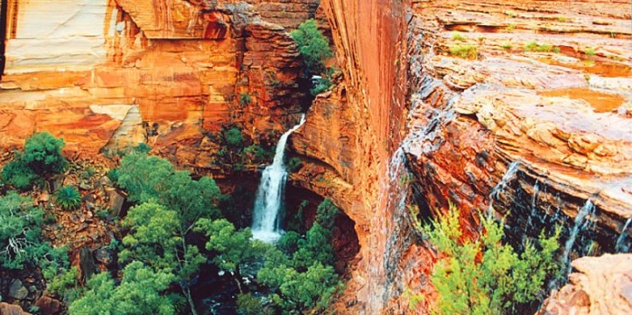 Kings Canyon Day Tour Uluru Everything Australia